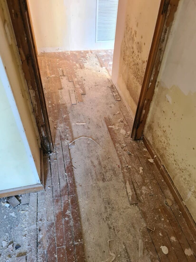 Paso a paso restauración de un parquet que le faltan lamas - Andreu Parquets Lleida