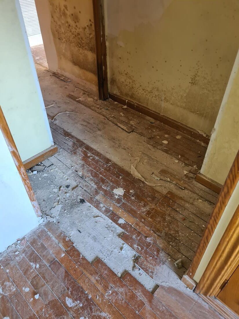 Paso a paso restauración de un parquet que le faltan lamas - Andreu Parquets